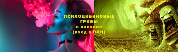 шишки Алексин