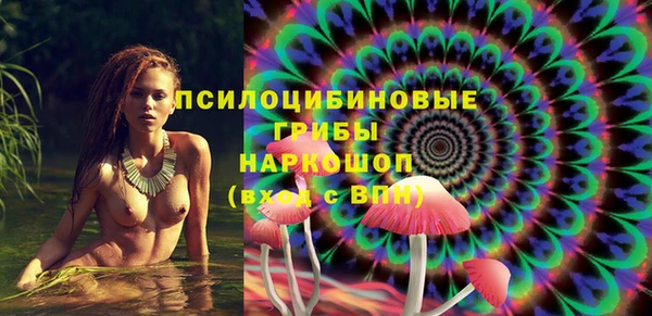 винт Медвежьегорск