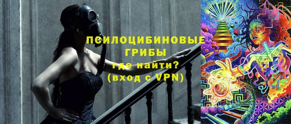 шишки Алексин